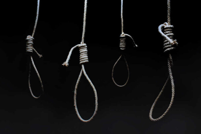 Four nooses hanging against a dark background