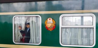 A young person looking out of a window on a green train with curtains