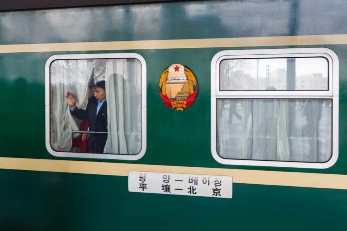 A young person looking out of a window on a green train with curtains