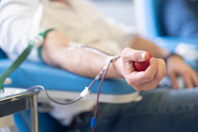 shutterstock_2606026929.jpg A person donating blood while holding a stress ball