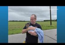 Morgan County first responders rescue baby deer from floodwaters during water rescue