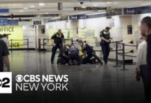 Penn Station Stabbing Spree Shocks NYC Man in custody after 6 people stabbed at Penn Station