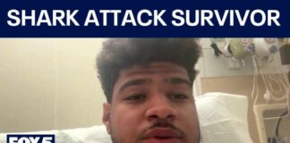 Georgia man saves pregnant fiancée during shark attack | FOX 5 News