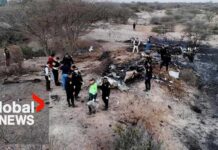 Scenic Flight Trap? Oversight Gaps Revealed Small-plane crash near Nazca Lines kills 11 European tourists and two Peruvian crew members