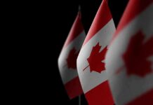 Canadian flags with maple leaf on dark background