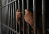 Al Green’s Costly Hormone Push for Illegals Hands gripping prison cell bars tightly.