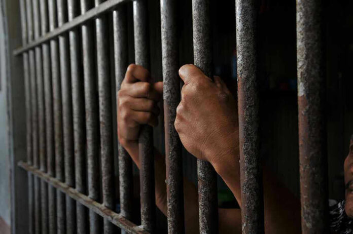2452368639 Hands gripping prison cell bars tightly.