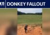Midnight Pasture Raid Ends With Donkey Dead Owner of killed donkey sends cease-and-desist letter | FOX 5 News