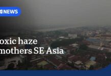 Indonesia battles out of control wildfires as thick smoke blankets the region | The World | ABC NEWS