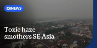 Indonesia battles out of control wildfires as thick smoke blankets the region | The World | ABC NEWS