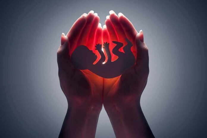 shutterstock_141519271 Hands cupping a glowing fetal silhouette
