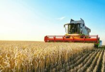 Diesel Spike Triggers $8B Farm Lifeline Combine harvester cutting golden wheat in a sunny field