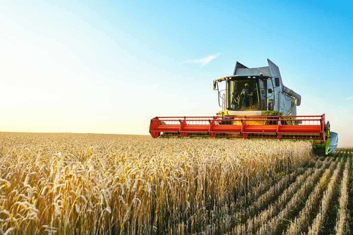 shutterstock_1494272252 Combine harvester cutting golden wheat in a sunny field